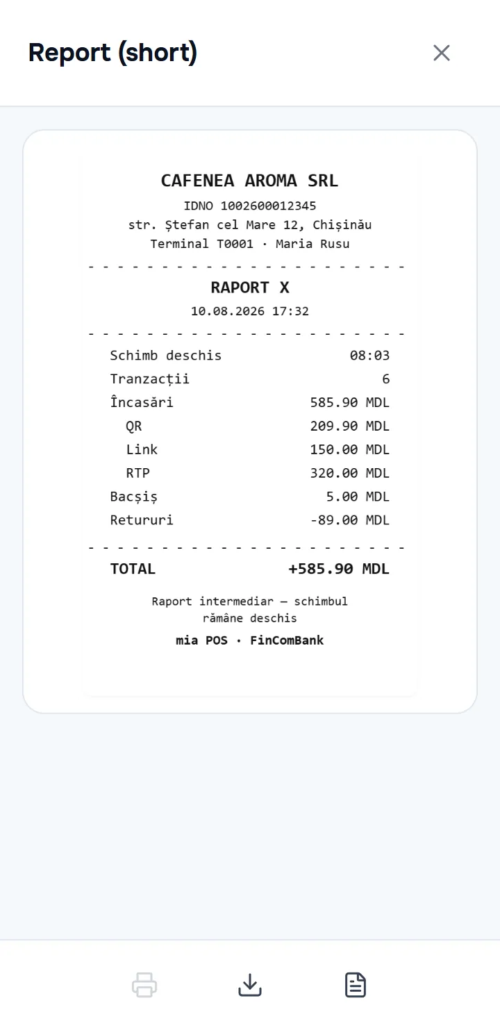 the preview screen of a report — the document image, the print/save buttons at the bottom and the short/full report switch.